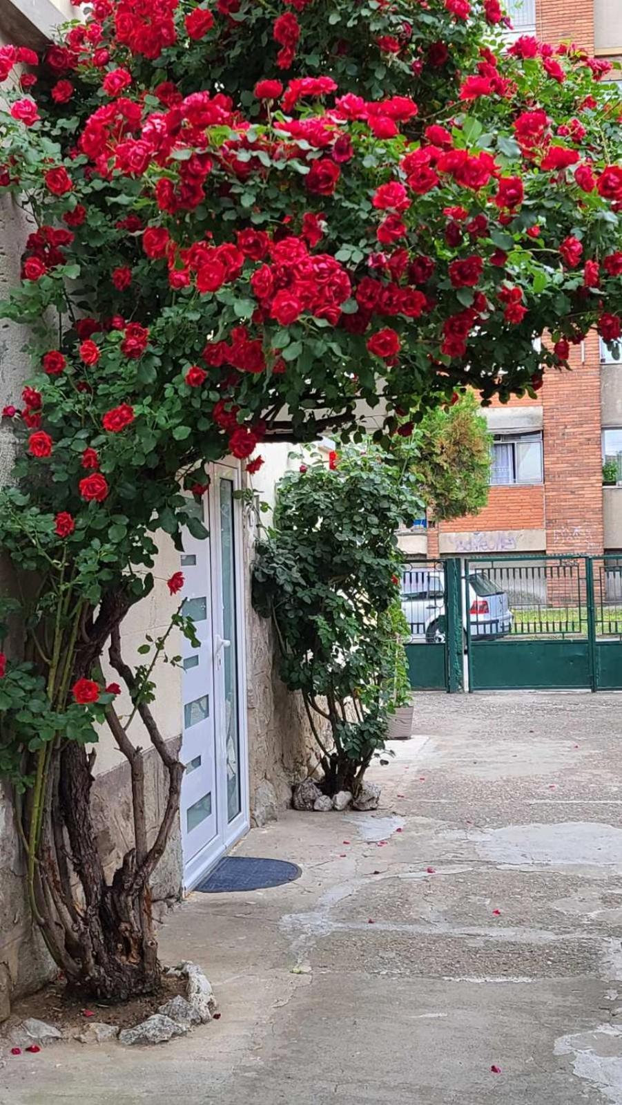 Appartamento Happy Star Ni Esterno foto